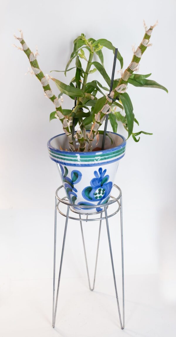 x3 Soporte de planta