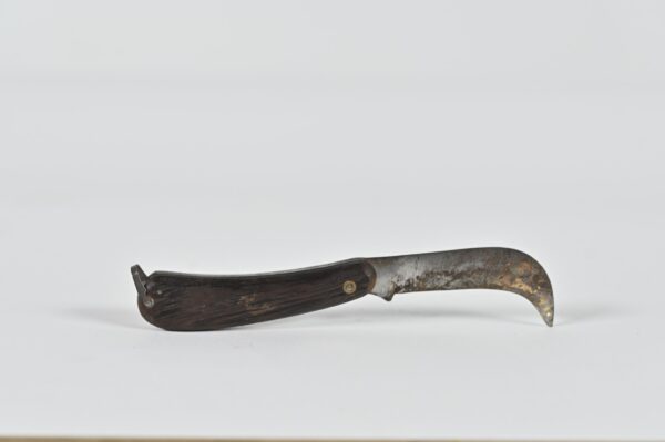Cuchillo para setas